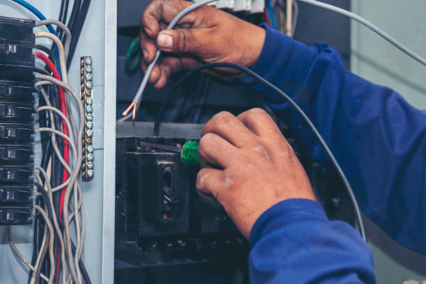 Best Ceiling Fan Installation Electrician  in Tishomingo, OK