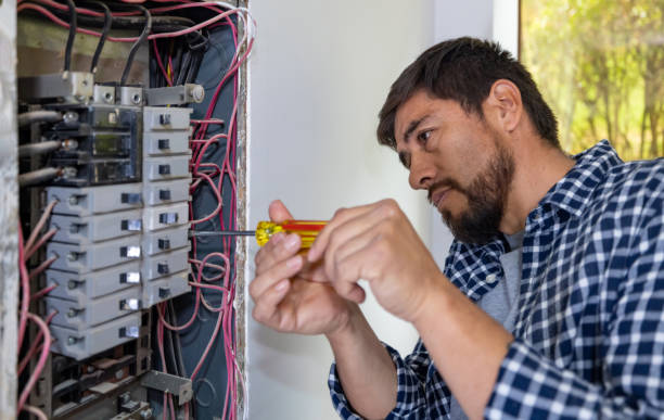 Best Electrical System Inspection  in Tishomingo, OK